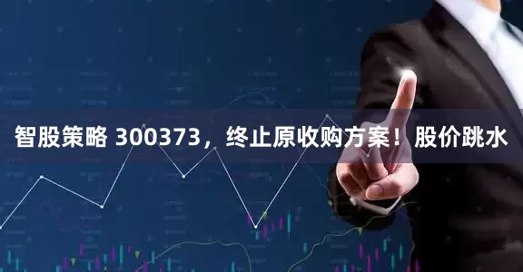 智股策略 300373，终止原收购方案！股价跳水