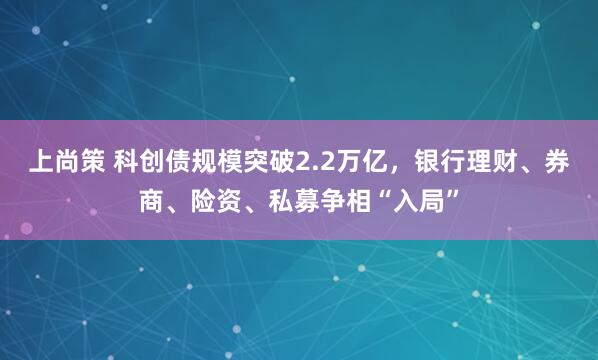 上尚策 科创债规模突破2.2万亿，银行理财、券商、险资、私募争相“入局”