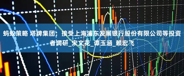 蚂蚁策略 塔牌集团：接受上海浦东发展银行股份有限公司等投资者调研_宋文花_谭玉涵_赖宏飞