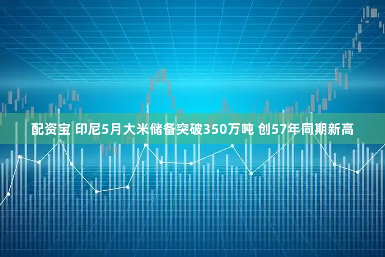 配资宝 印尼5月大米储备突破350万吨 创57年同期新高