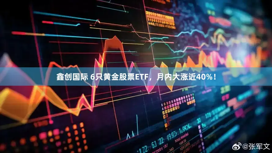 鑫创国际 6只黄金股票ETF，月内大涨近40%！