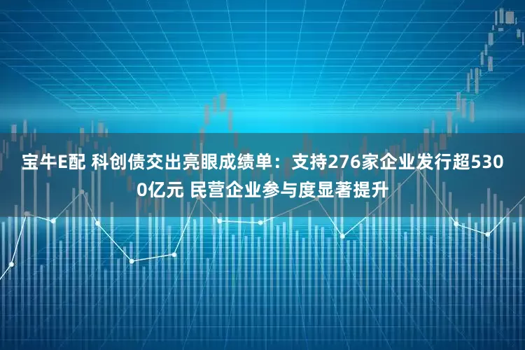 宝牛E配 科创债交出亮眼成绩单：支持276家企业发行超5300亿元 民营企业参与度显著提升